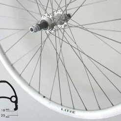 Hinterrad 28 Zoll 19-622 Schürmann Euroline Silber Alunabe Silber Mutternachse / Für Schraubkranz